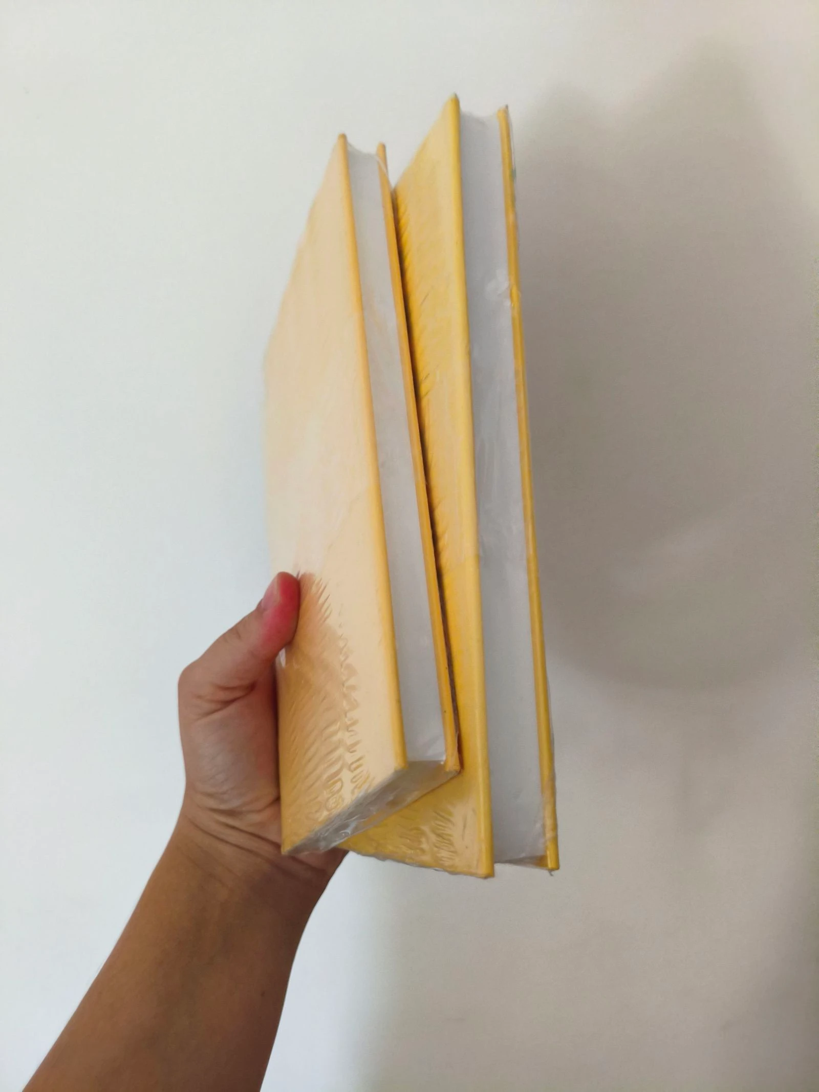 Batch of 2 books Fernando Dates – photo 3